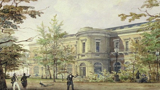 oude-prent-van-het-artis-grootmuseum