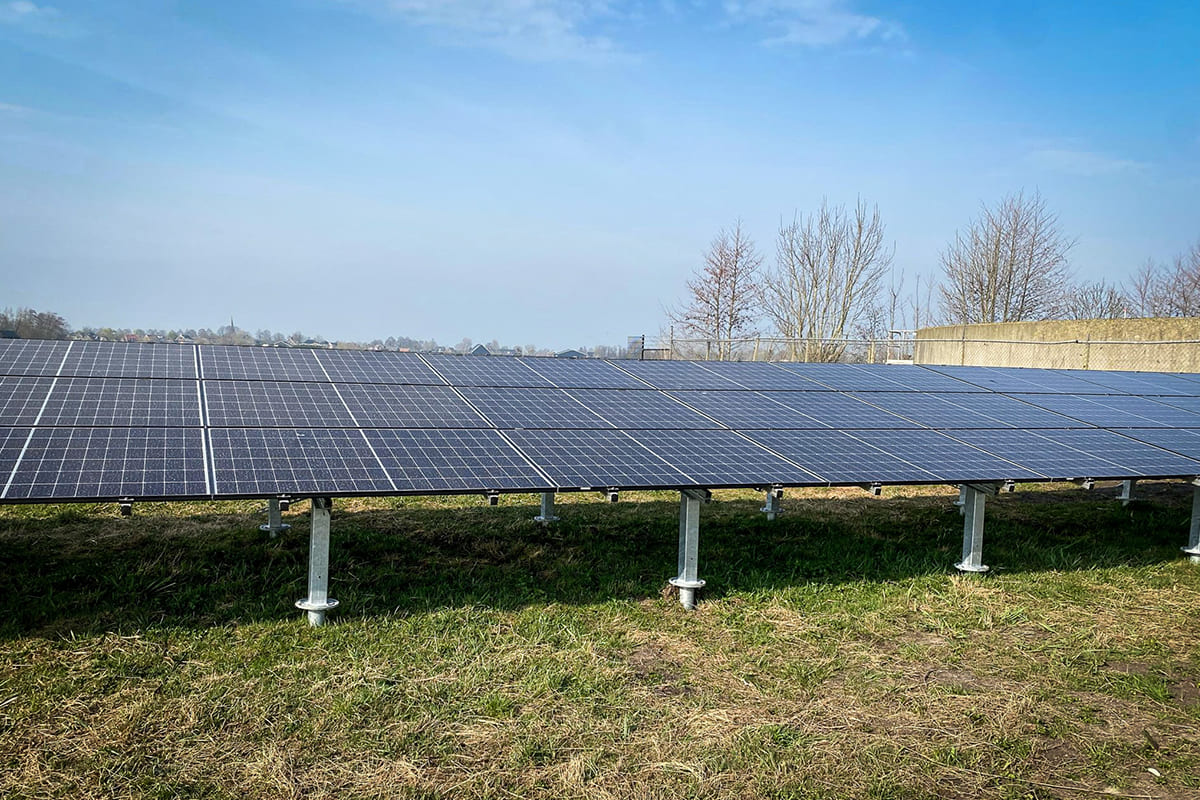 Zonneweide in Bergambacht
